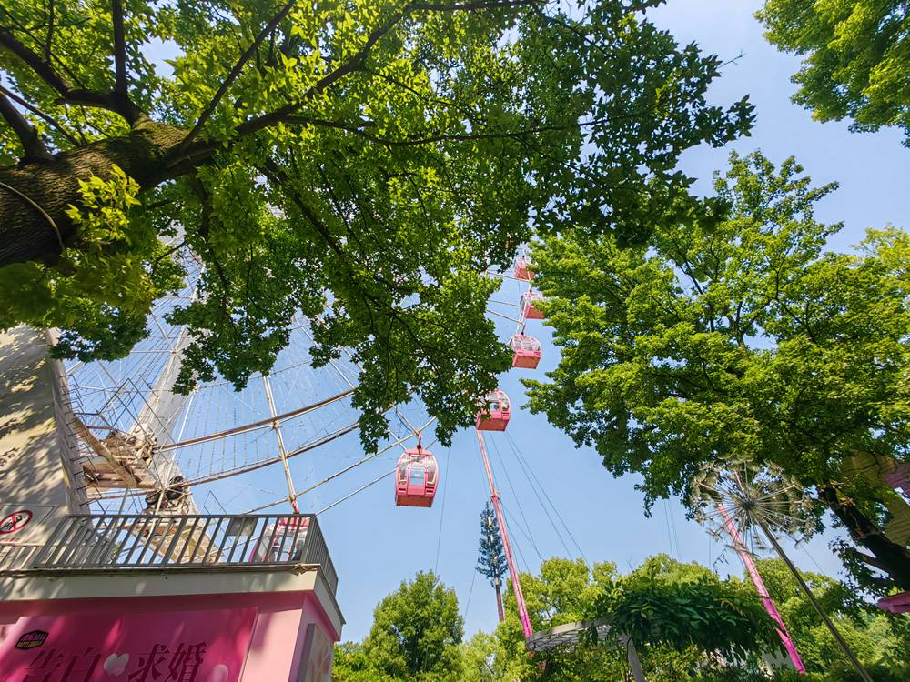 东湖 (1).jpg